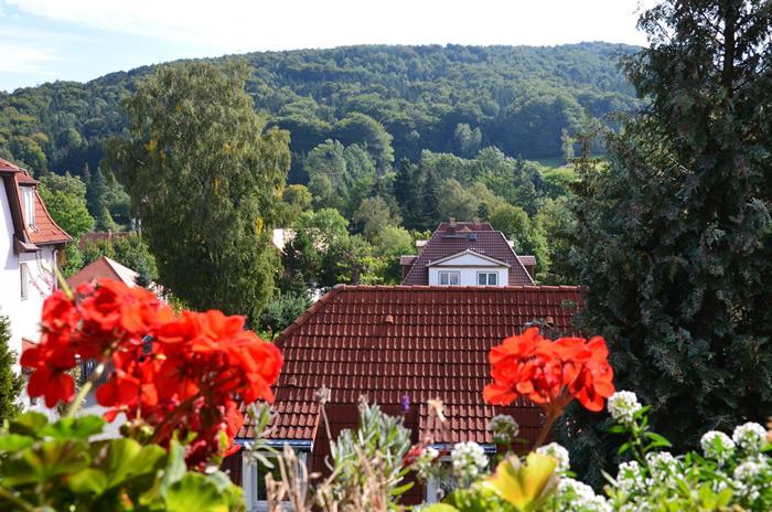 Villa Sonnenseite Jonsdorf מראה חיצוני תמונה